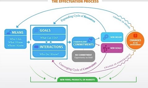 theory of effectuation case study